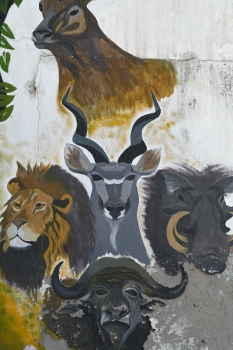 dsc 1768.jpg Peinture murale d'un bâtiment abandonné  aux Barracudas dans le Siné Saloum