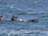 ch8a3721.jpg Kayak de mer à Boulders beach