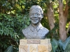 ch8a3451.jpg Buste de Nelson Mandela au parc national botanique de Kirstenbosch