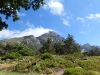scn1453.jpg Massifs montagneux du Cap vus de Kirstenbosch