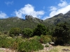 dscn1476.jpg Massifs montagneux du Cap vus de Kirstenbosch