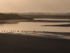 dsc 0014.jpg Lever de soleil sur la baie de Somme au Crotoy