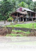 dscn 2945.jpg Logement chez Rodgi au parc national Aketajavve-Lolobota à Halmahera aux Moluques