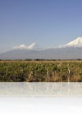 dsc 5860.jpg Le mont Ararat et la plaine de l\'Ararat