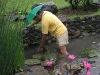 epv 0387.jpg Le jardinier de l'hôtel Montebello à Cebu