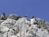 dsc 3085.jpg Colonie de vautours fauves Gyps fulvus à Monfragüe