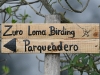 dsc 4142.jpg Zuro Loma birding
