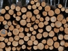 dsc 5019.jpg Exploitation du bois dans la forêt estonnienne