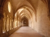 dsc 0132.jpg Le cloître de l'abbaye de Valmagne 