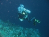 img 4882.jpg Roland en plongée à Diatabang, Pulau Ternate chez Alor divers, Alor, Indonésie