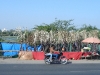 DSCN 7164.jpg Bord de route dans le petit Rann de Kutch