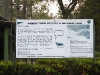 DSCN 5830.jpg Nameri, réserve de tigres et Parc National dans l'Assam