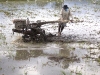 born 6859.jpg Travail des rizières  à Desavvanga au Sulawesi central