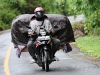 ch8a 2528.jpg Sur la route dans le parc national d'Aketajawe-Lolobota à Halmahera aux Moluques