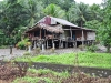 dscn 2945.jpg Logement chez Rodgi au parc national Aketajavve-Lolobota à Halmahera aux Moluques