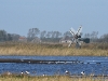 dsc 4811.jpg Paysage à l'étang de Leemput sur l'île de Texel