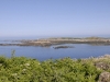 DSC 263.jpg L'île Plate vue de l'ïle aux Moines dans la réserve naturelle des Sept-Îles