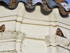 dsc 2673.jpg Couple de faucons crécerellettes Falco naumanni dans le clocher de l'église de Madronera