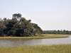 dsc 4960.jpg Marais dans le Parc National de Niokolo Koba