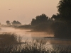 dsc 2639.jpg Brume matinale sur le petit canal de Crisan