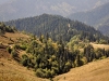 dsc 4648.jpg Montagnes du Petit Caucase dans le parc national de Borjomi