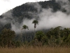 born 6620.jpg Paysage à Salulemo dans le parc national de Lore lindo au Sulawesi central