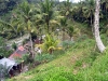 epv 1237.jpg Gunung Kawi, près d'Ubud