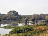 dsc 7091.jpg La plaine alluviale du Danube à Beljarica