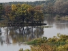 dsc 4024.jpg La plaine alluviale du Danube à Beljarica