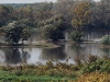 dsc 4027.jpg La plaine alluviale du Danube à Beljarica