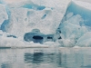 dsc 1395 Iceberg bleu dans le Liefdefjord