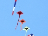 CH8A 7865.jpgCerfs-volants à Phantai Norasing
