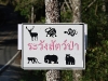 CH8A 8479.jpg Attention aux animaux dans le parc de Khao Yai !
