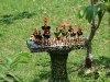 CH8A 8680.jpg Décor à Khao Yai
