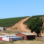 Paysage sur la route de retour au Cap par l'intÃ©rieur des terres